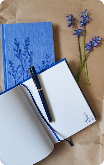 Блокноты синие, 2 штуки, один открыт